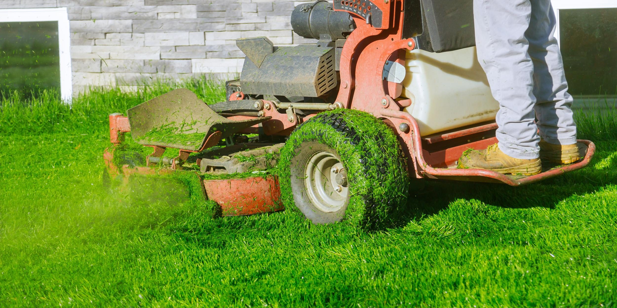 Carolina Elite Lawncare, Llc (5)